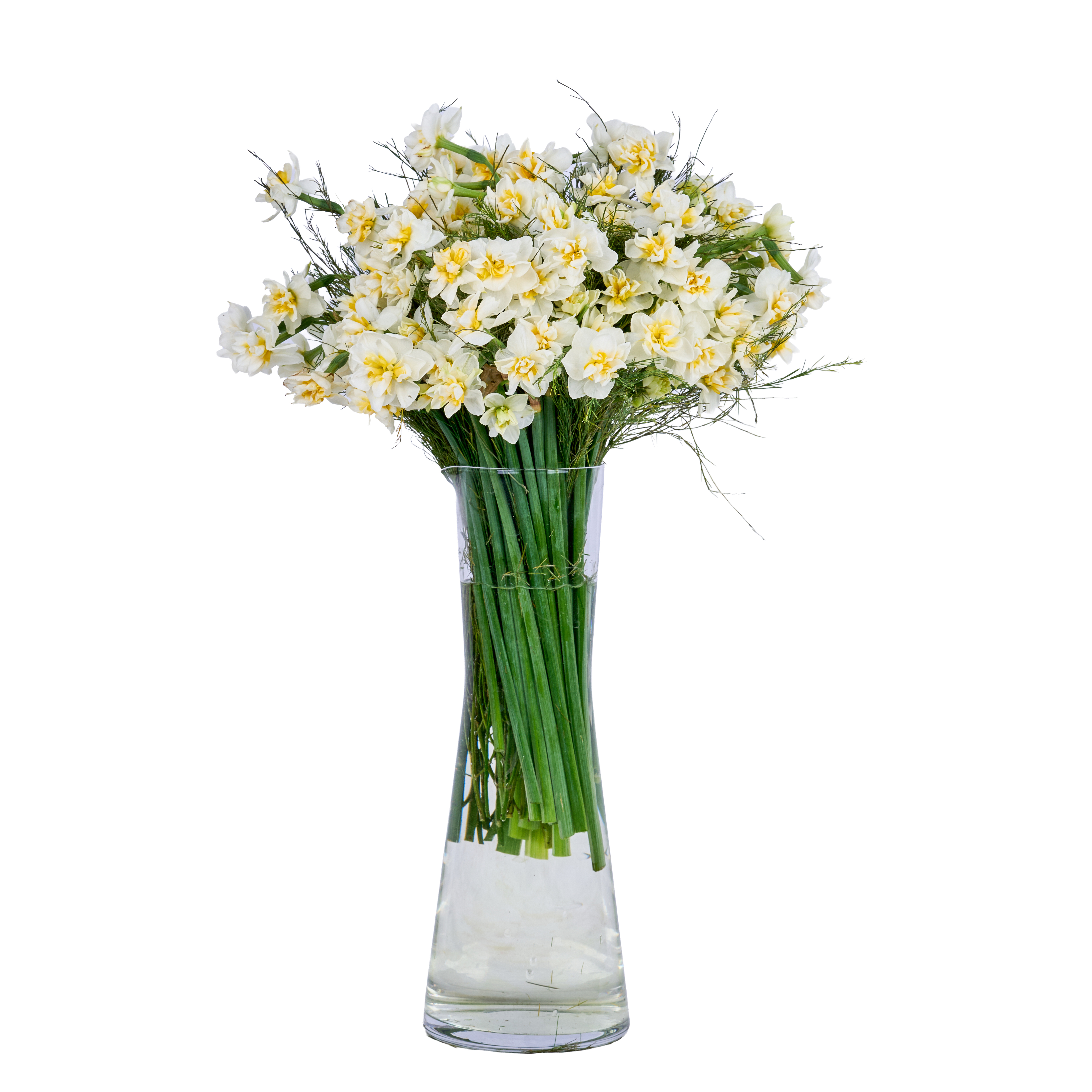 Vazoda Nergis Çiçeği - 6