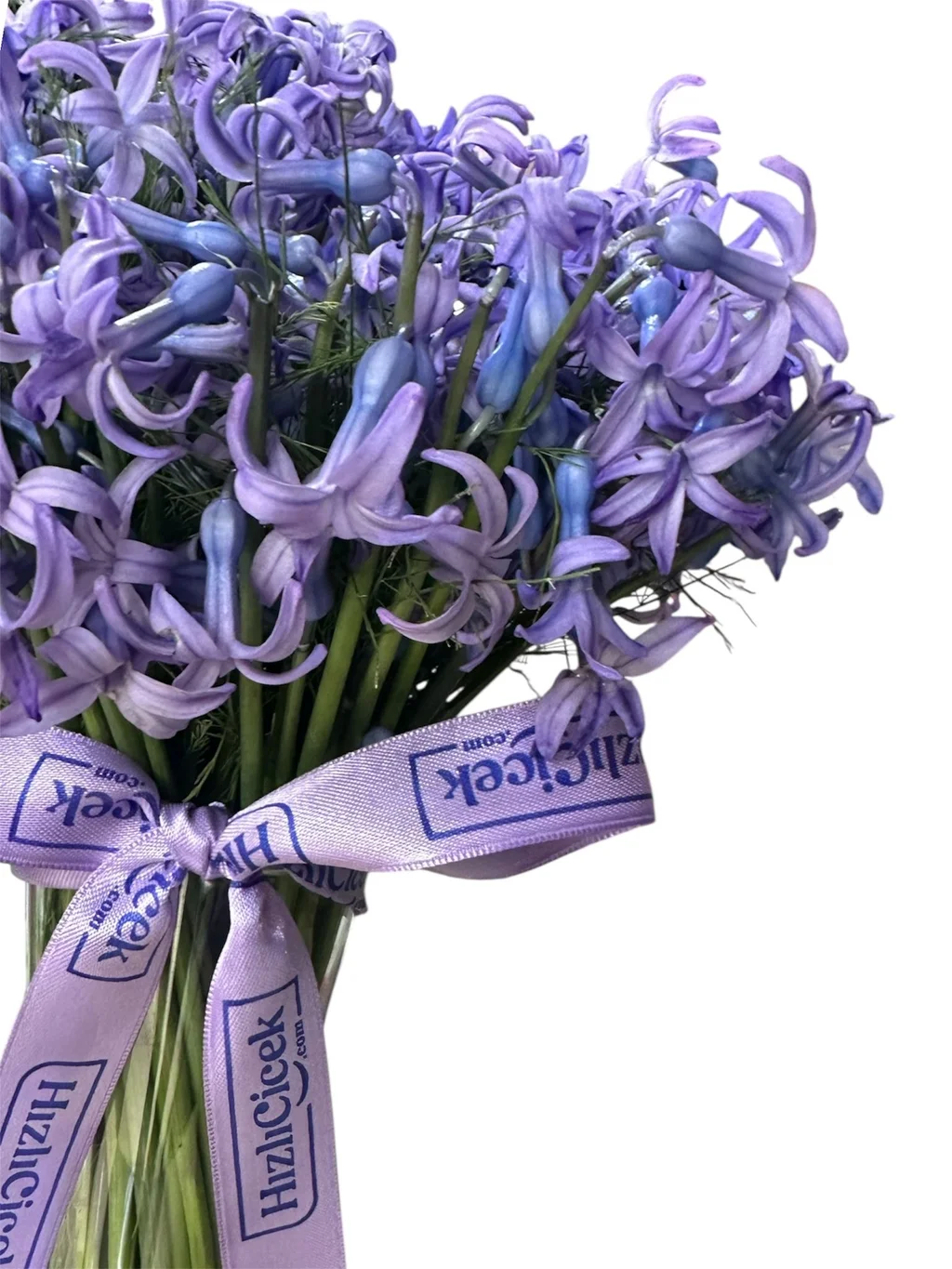 Vazoda Mor Sümbül - 4