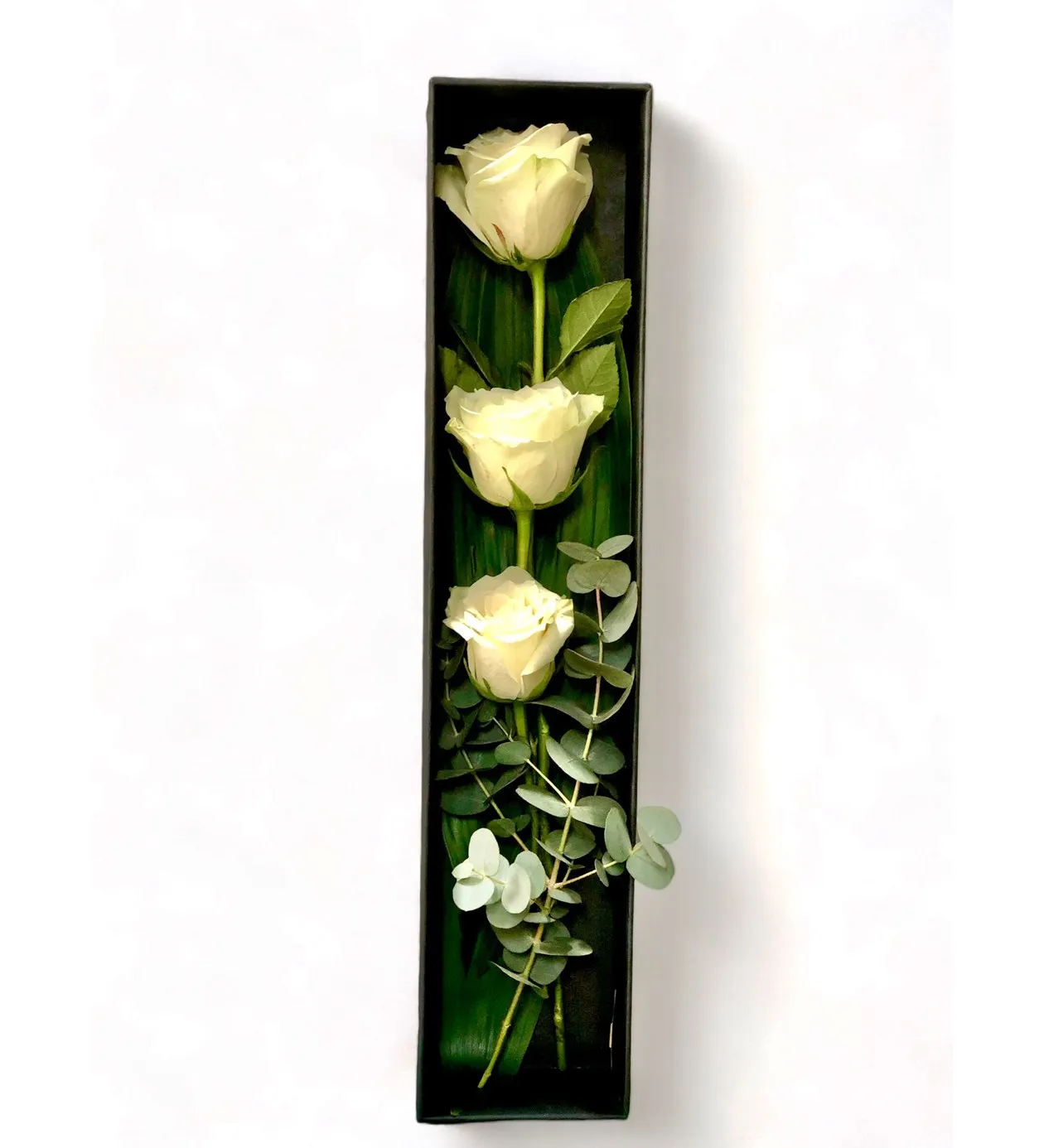 Kutuda Beyaz Gül - 7