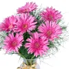 Vazoda Pembe Gerbera - 2