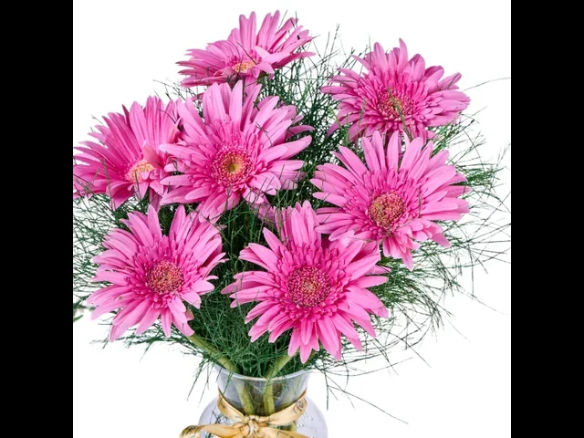 Vazoda Pembe Gerbera - 2