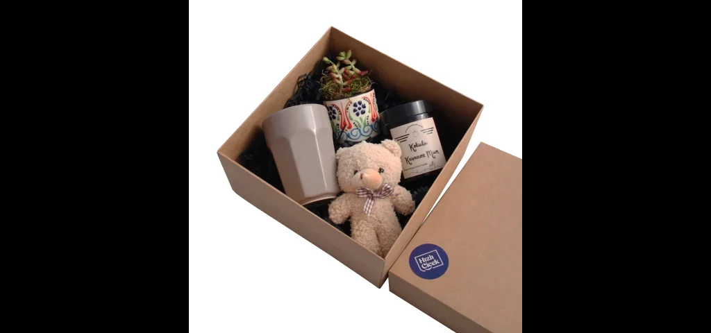 Sukulent Hediye Kutusu