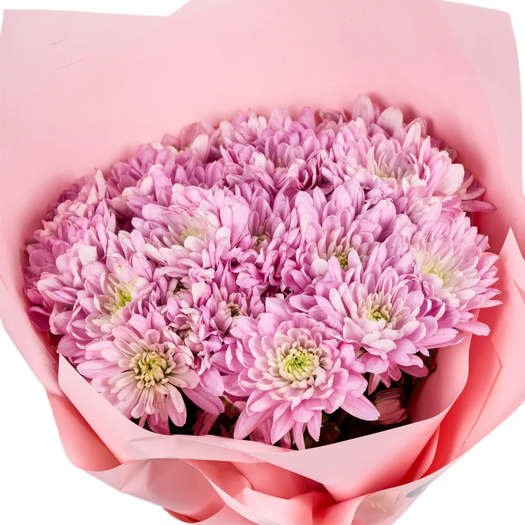 Pembe Krizantem Buketi - 4