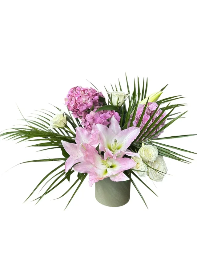 Bloomish Ortanca - 2