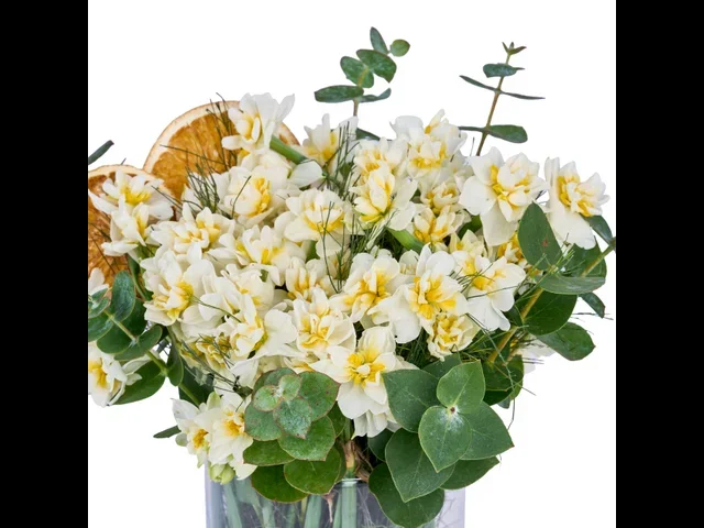 Narcissus Dream - 3