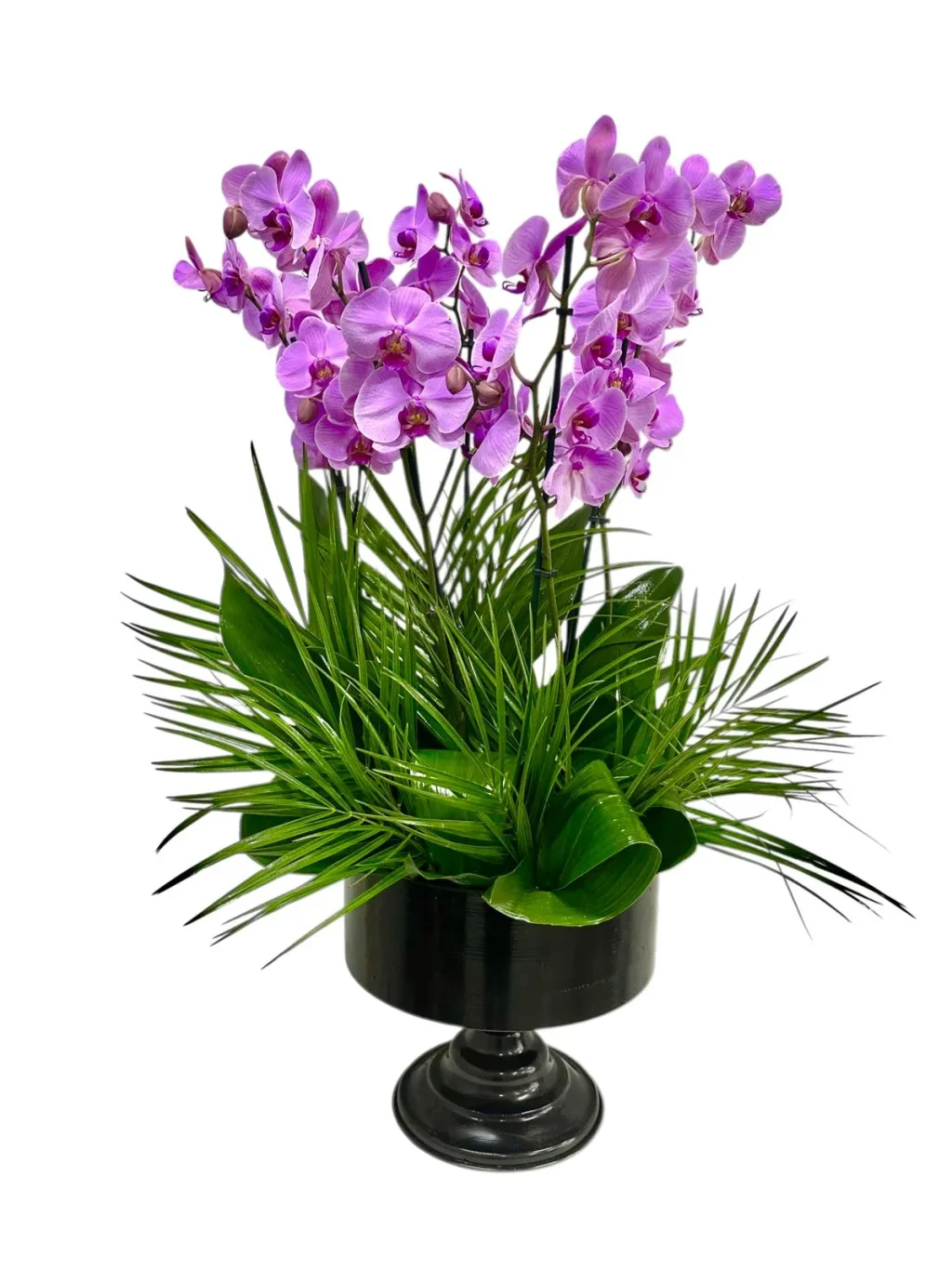 6 Dallı Mor Orkide