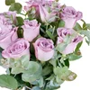 Classy Feelings Lila Güller - 3