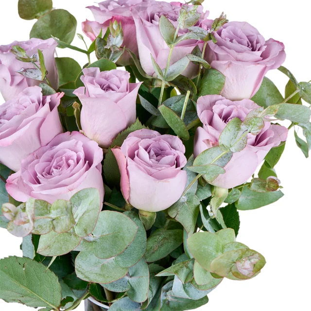 Classy Feelings Lila Güller - 3