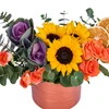 Orange Sun - 2