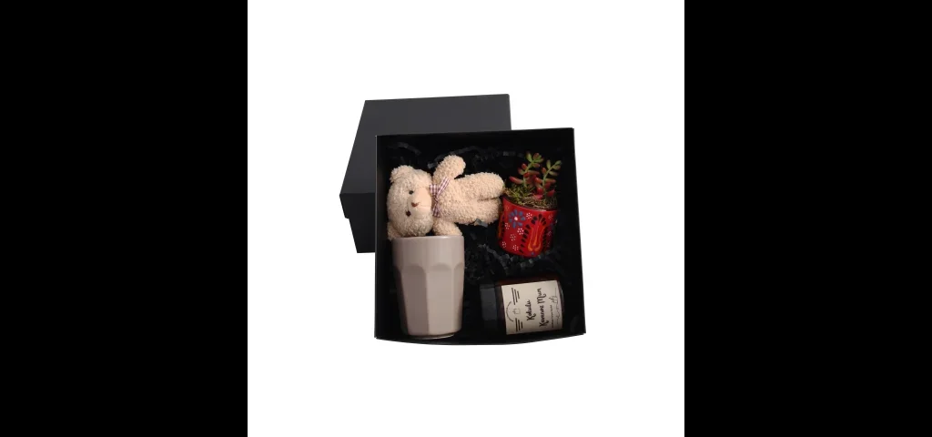 Sukulent Hediye Kutusu 2