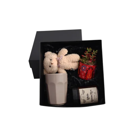 Sukulent Hediye Kutusu 2