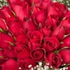 Red Velvet Desire - 3