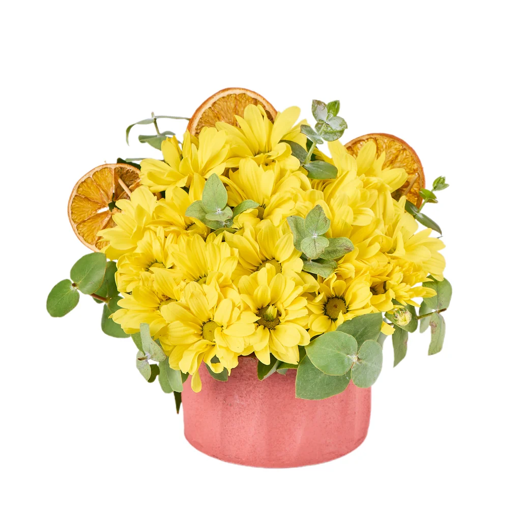 Yellow Kiss