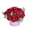 Midnight Bloom