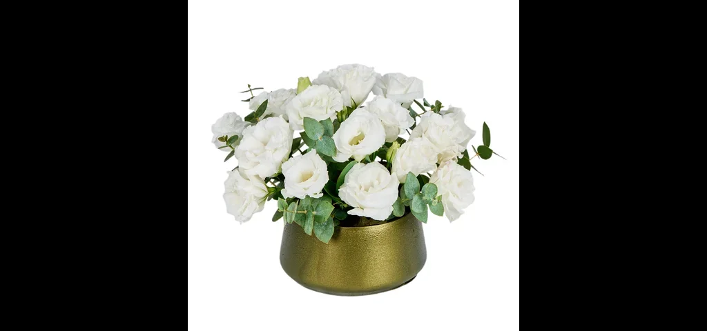 Timeless Lisyantus Beauty