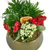 Deep Forest Kalanchoe - 2