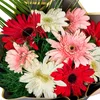 Karışık Gerbera Buketi - 3