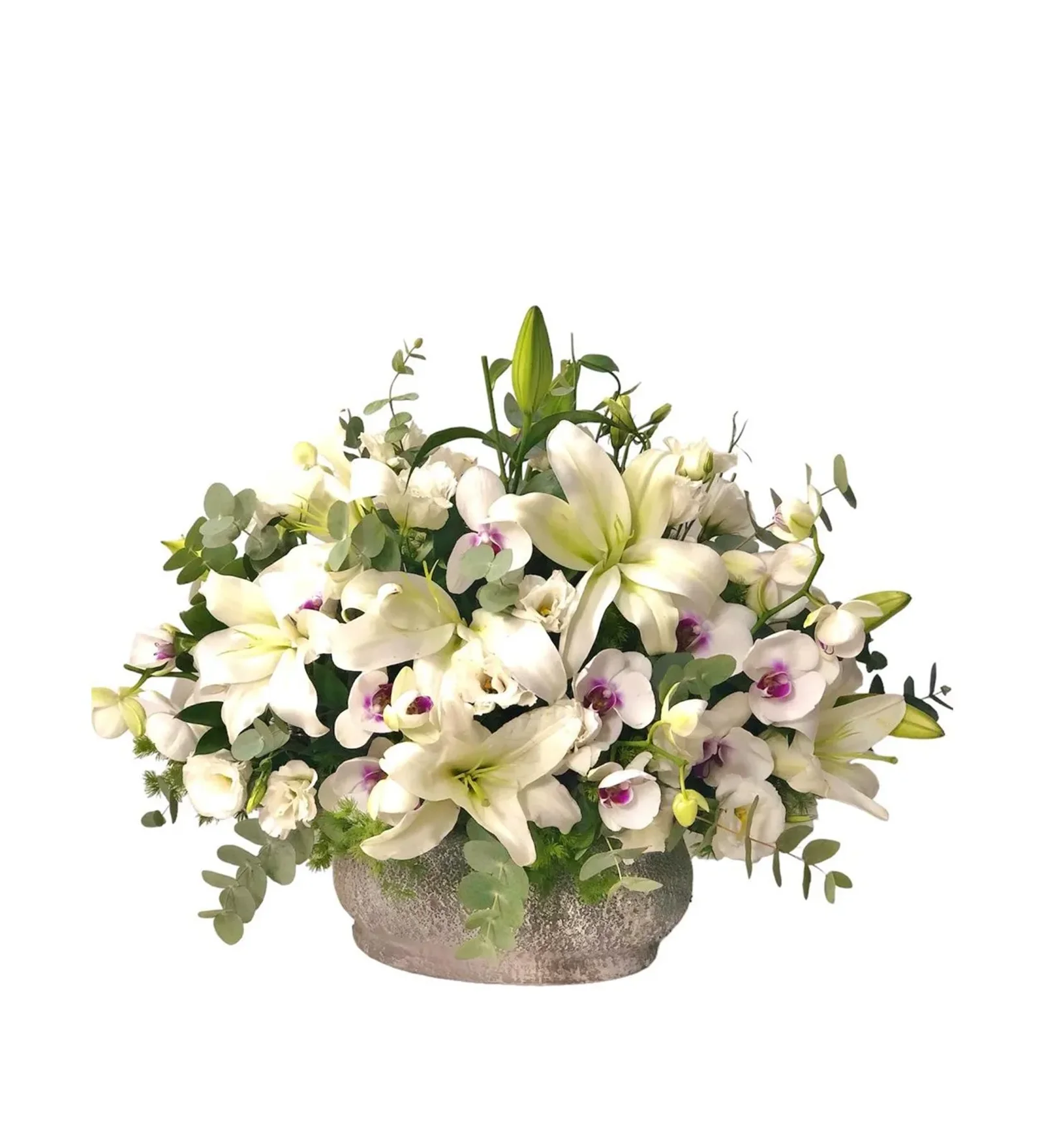 White Lilyum Party