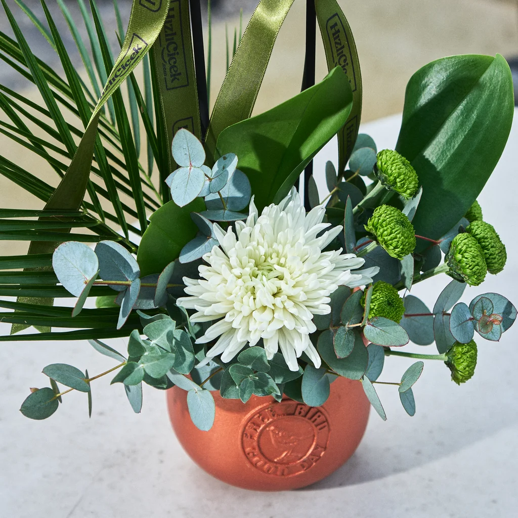 Lux Double White Orkide - 4