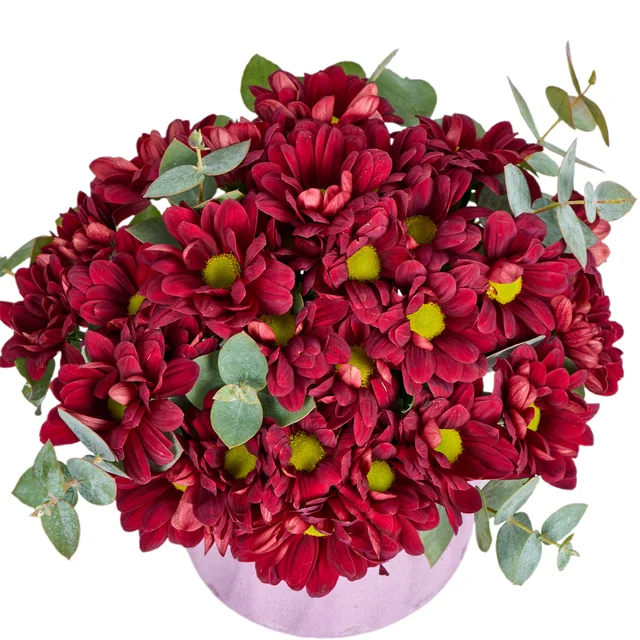 Midnight Bloom - 2