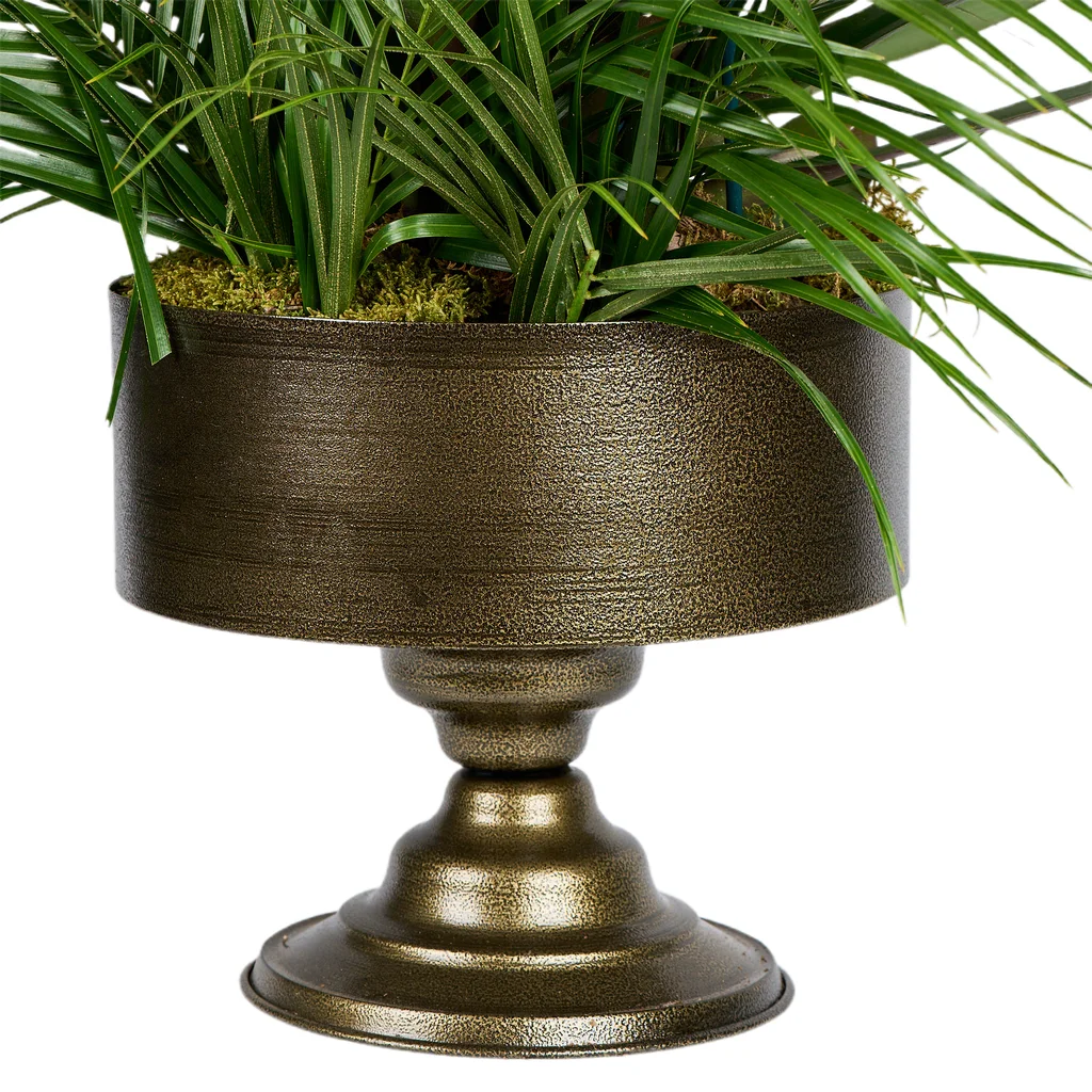 6 Dallı Mor Orkide - 4