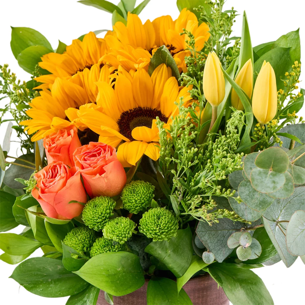 My Sunflower Ayçiçekleri - 6