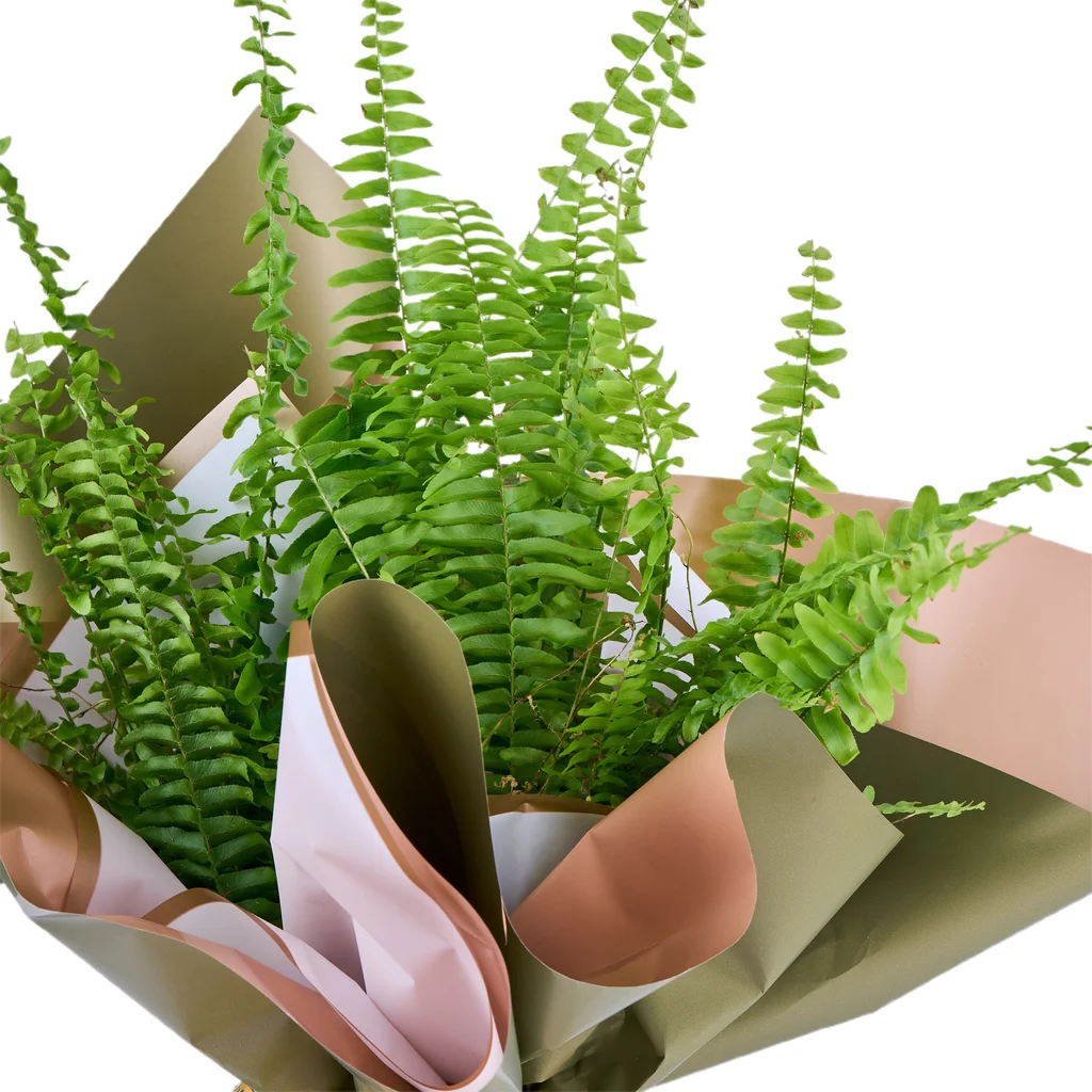 Aşk Merdiveni (Fujer) - 3