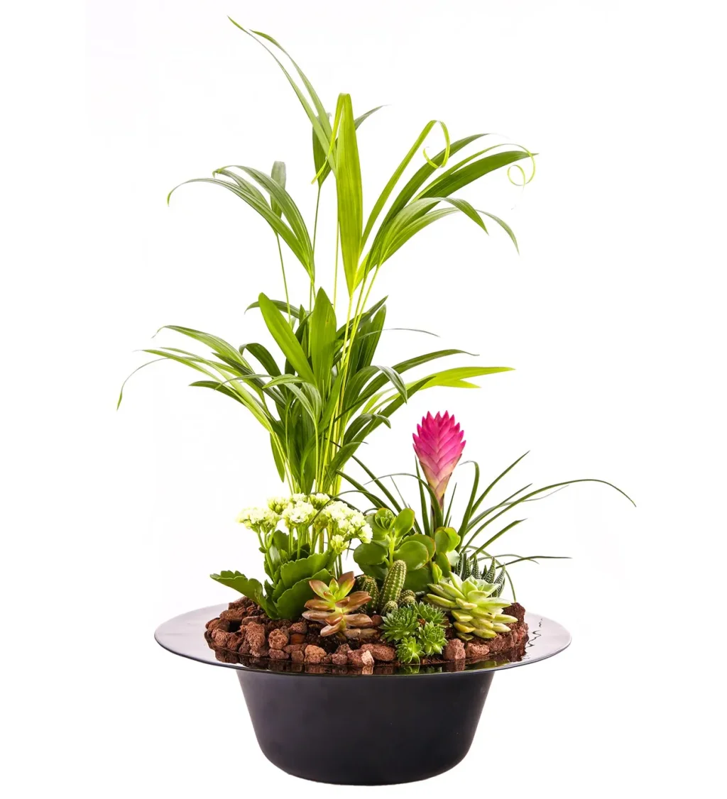 Magic Black Hat Lux Garden