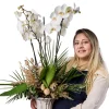 White Majesty - 3