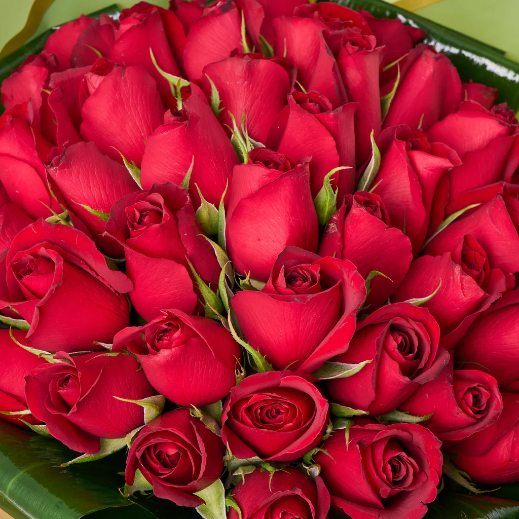 41'li Kırmızı Gül Buketi - 4