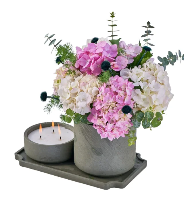 Ortanca and Candle Fantasy - 2