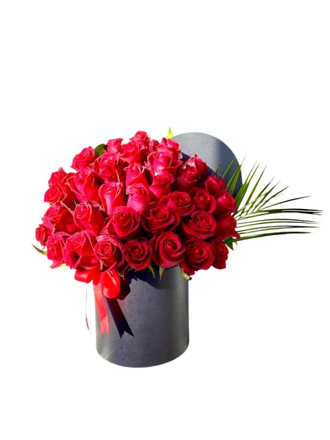 41 Kırmızı Rose Box