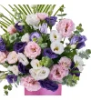 Pink Lisyantus Melody - 3