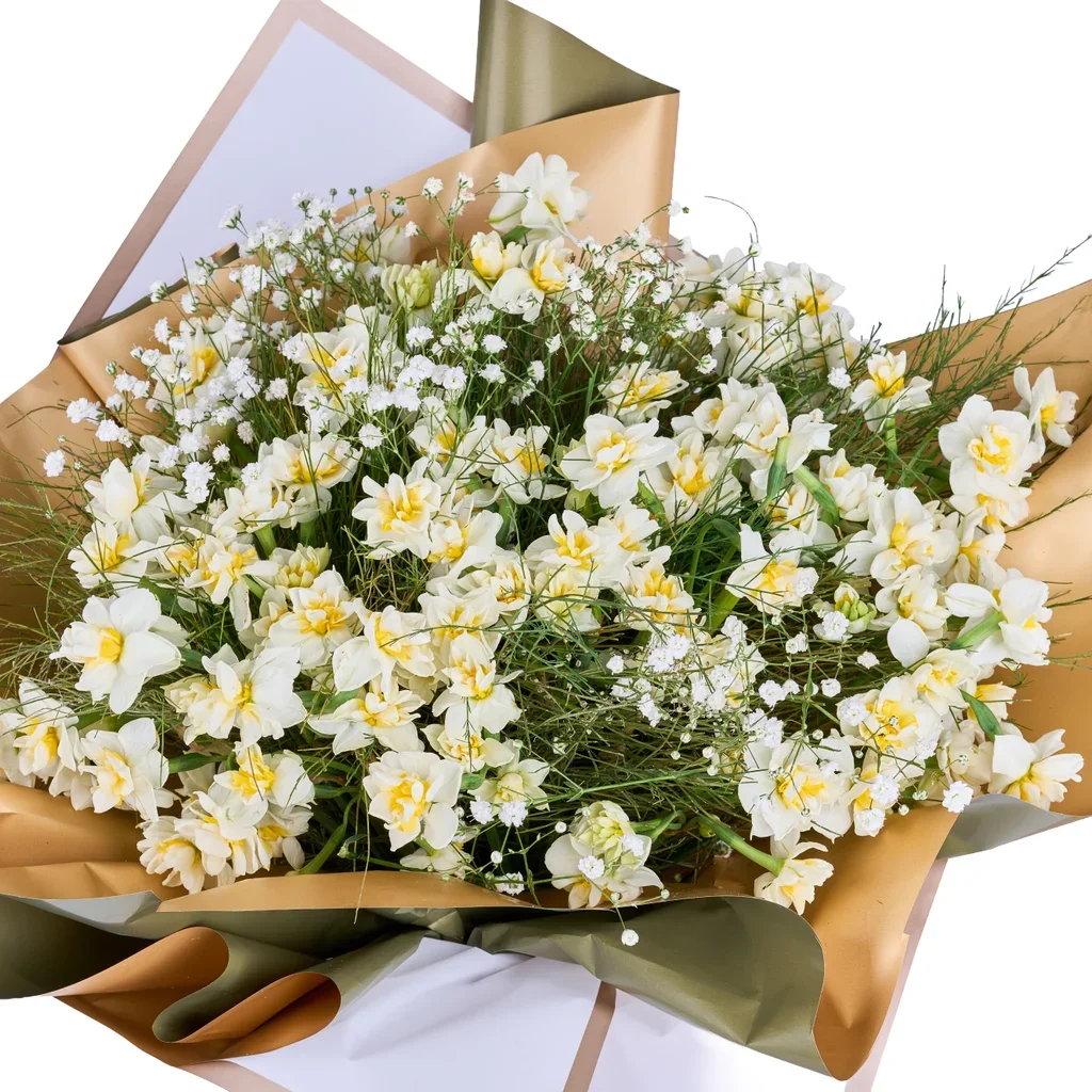 Nergis Çiçeği Anlamı ve Özellikleri | Neyi Temsil Eder?