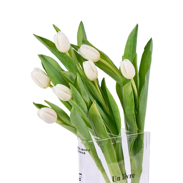 Luxe White Tulips - 2