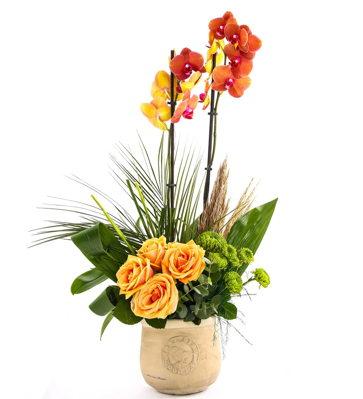 Sweet Energy Luxury Orkide - 7