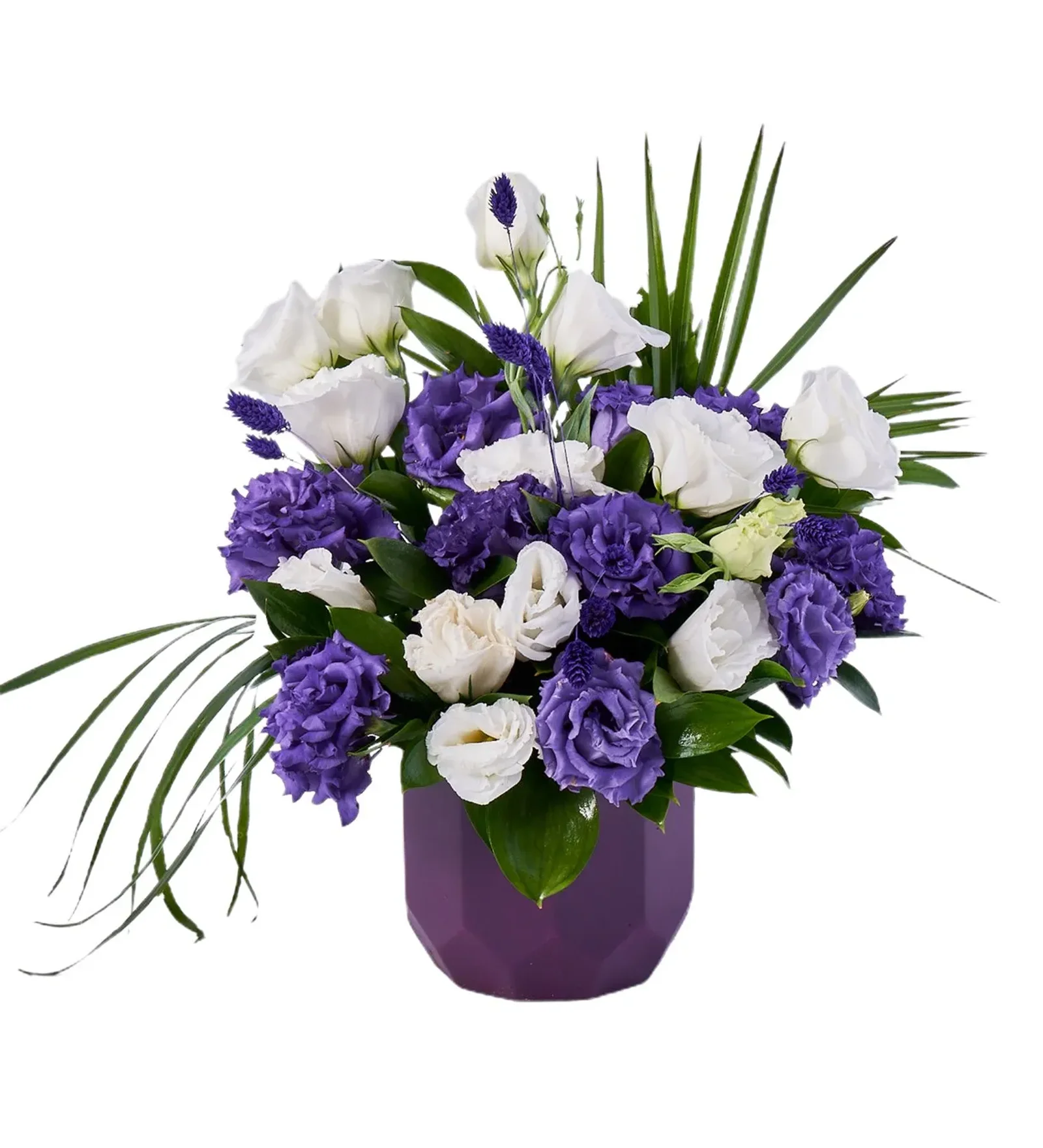 Purple Lisyantus Gift
