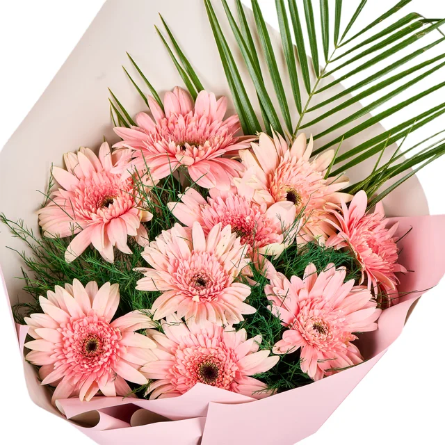 Pembe Gerbera Buketi - 2
