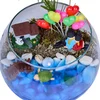 Turtle Island Teraryum - 3