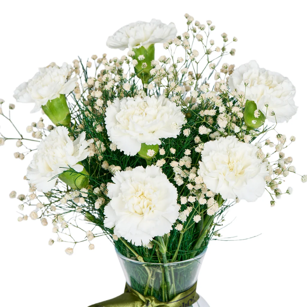 Vazoda Beyaz Karanfil - 4
