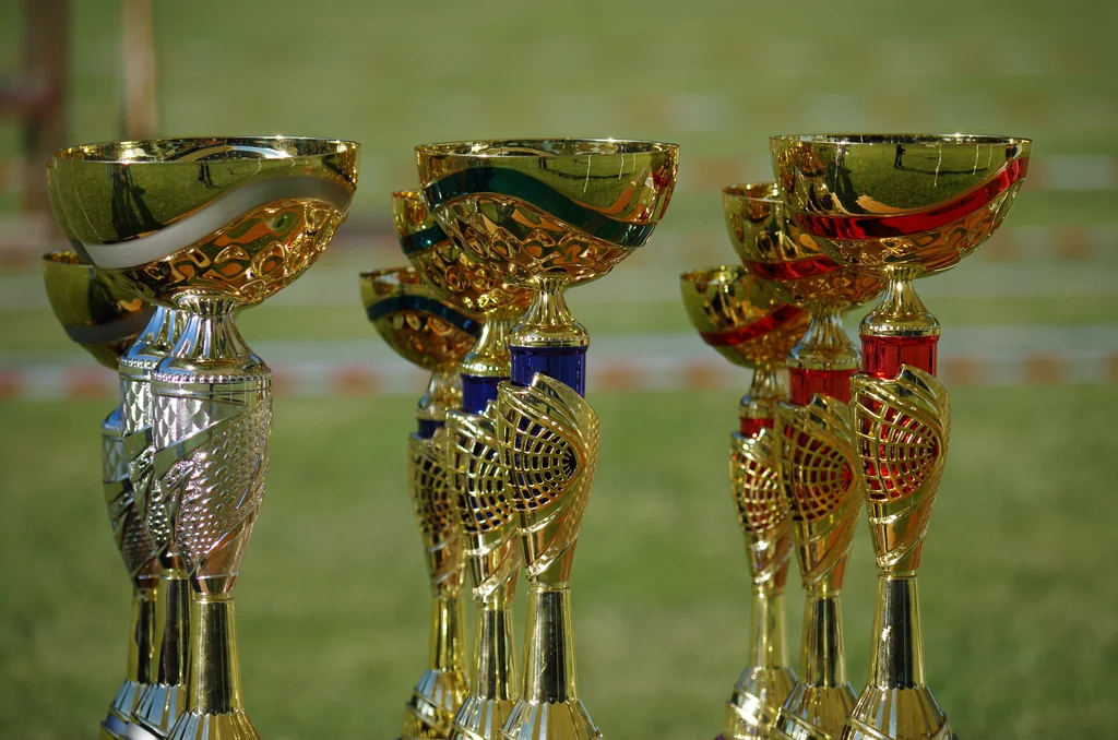 Başarı Sözleri: Motivasyon ve İlham Dolu Mesajlar