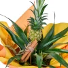 Tropikal Ananas - 3