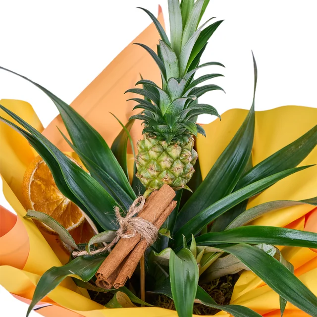 Tropikal Ananas - 3