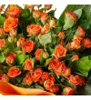 Orange Love Buket - 3