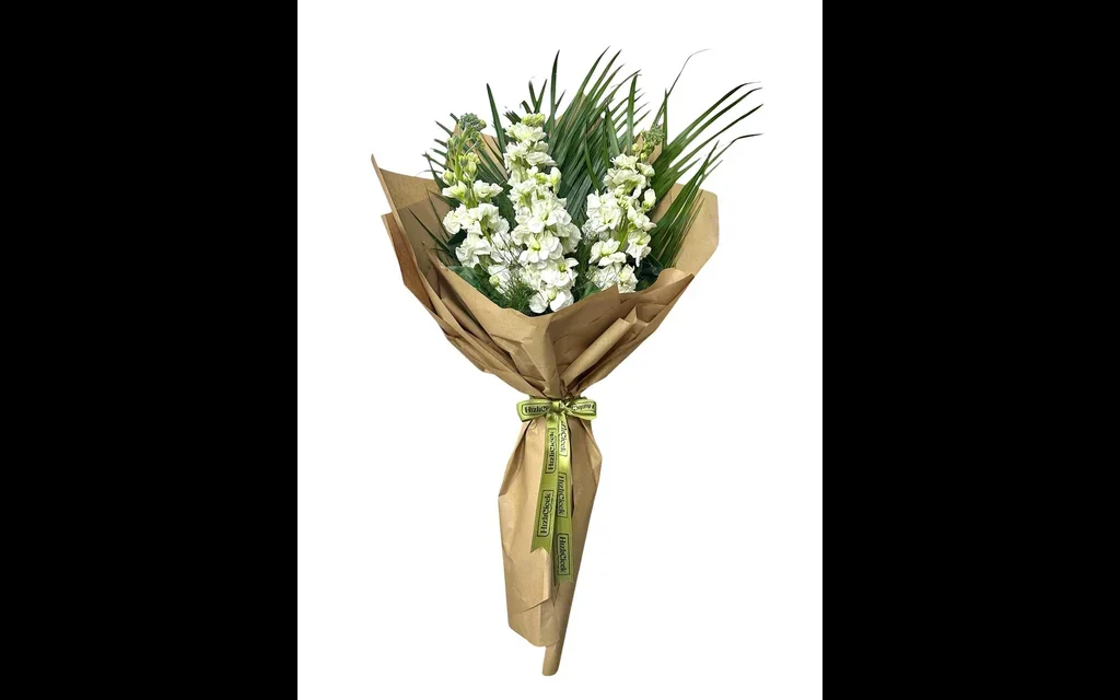 Beyaz Şebboy Buketi