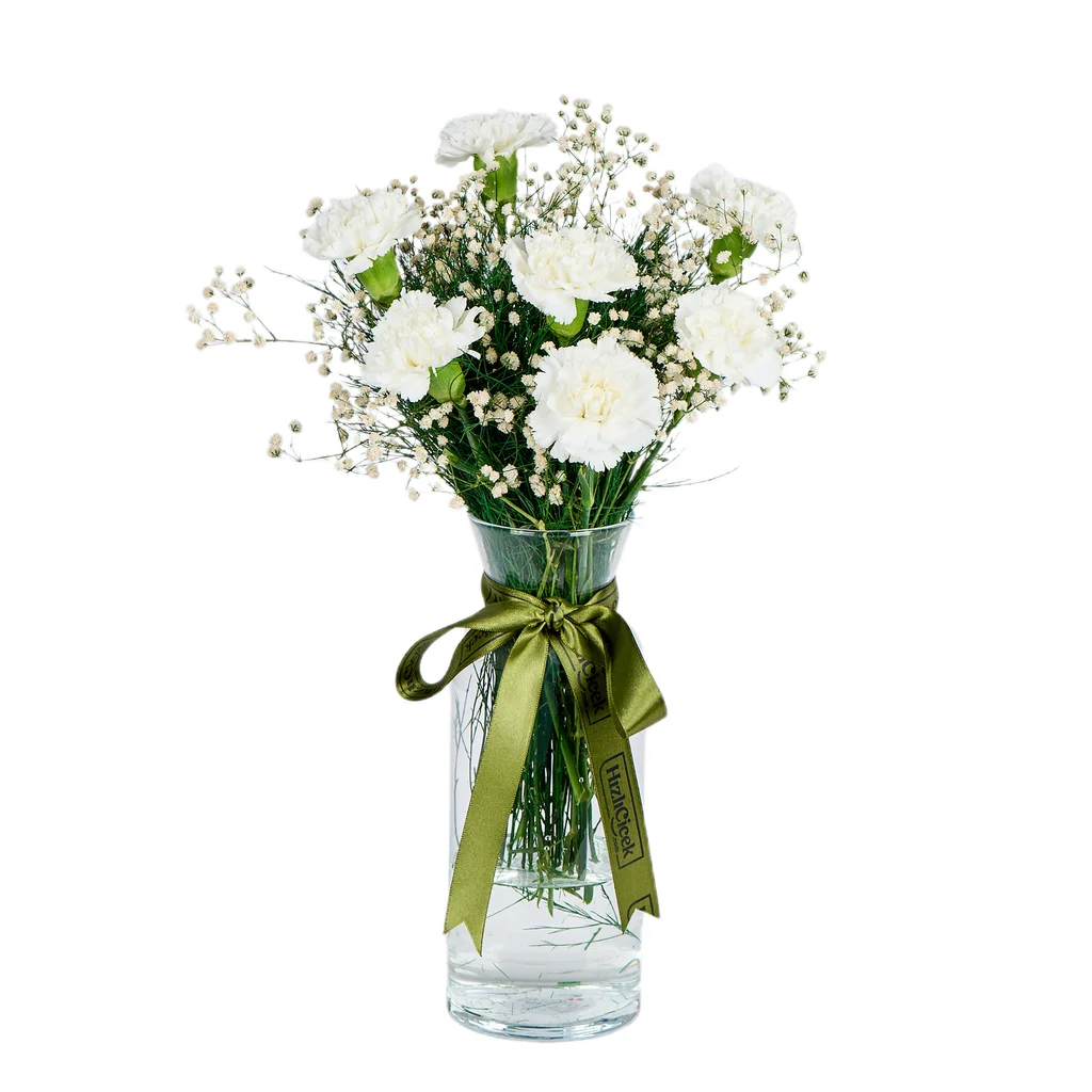 Vazoda Beyaz Karanfil