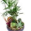 Botanical Haven - 3