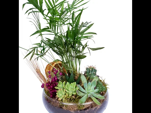 Botanical Haven - 3