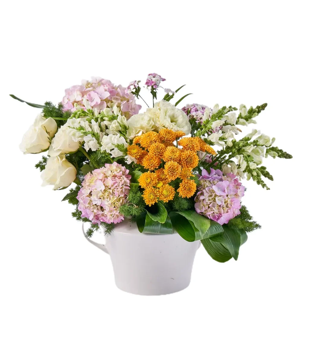 Premium Ortanca Design