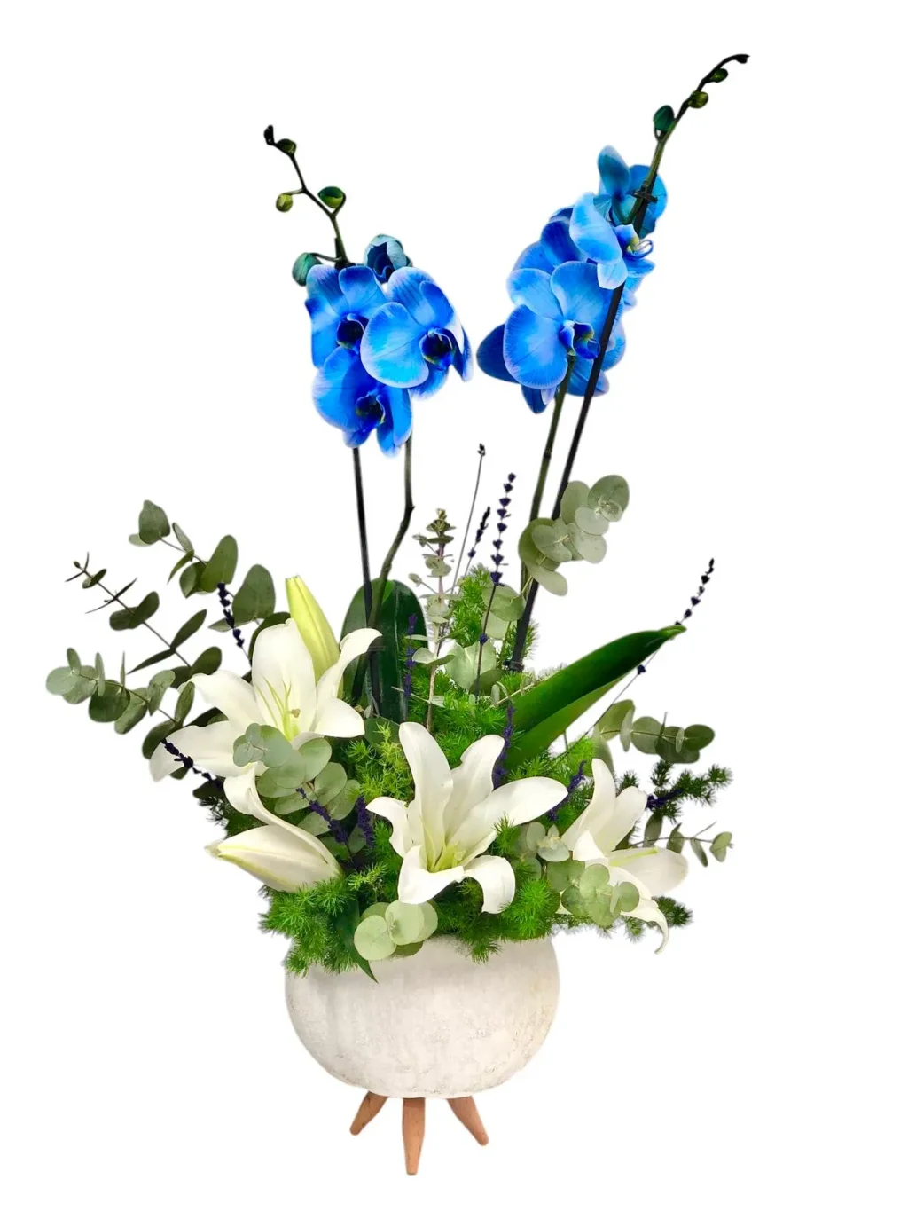 Lux Blue Orkide